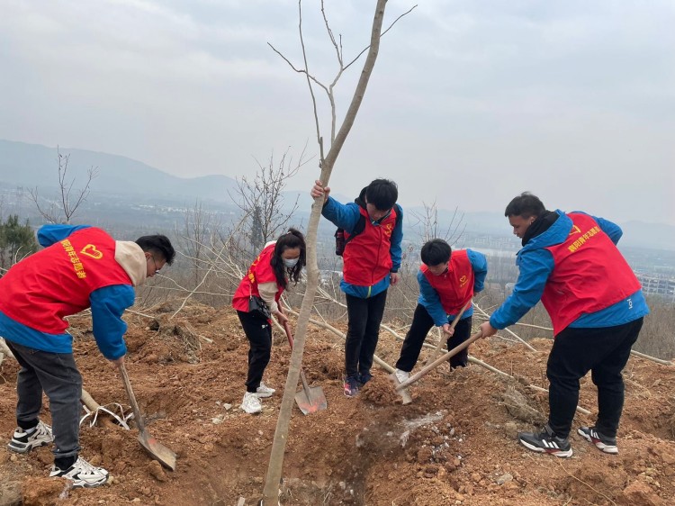  黨建帶團建——3月“公益植樹”主題黨日和主題團日活動(圖3)